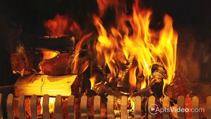 The Rexford Apartments in Fremont, CA - ForRent.com