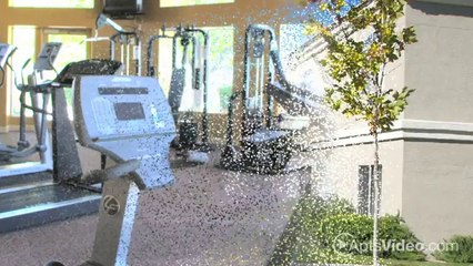 The Links at High Resort Apartments in Rio Rancho, NM - ForRent.com