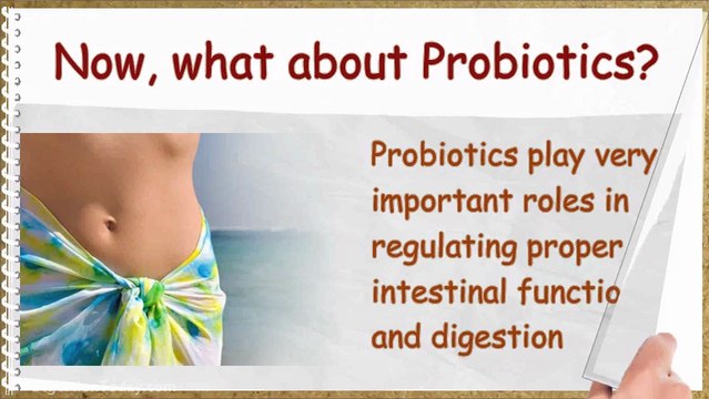 Digestive Enzymes & Probiotics In Aiding A Healthy Digestion
