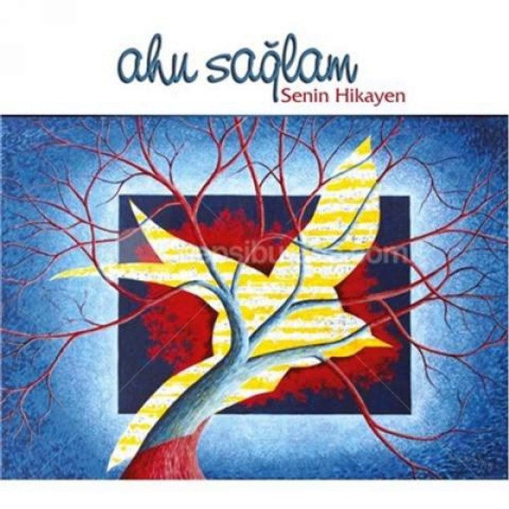 Ahu Sağlam - Hava Bulutlu