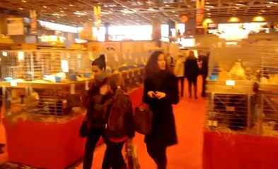 Salon de l'agriculture : galeries de volaille