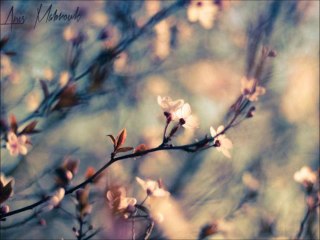 Aytaç Doğan - Sevmenin Zamanı Yok