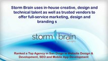 Various Services Offered By Storm Brain A San Diego Company