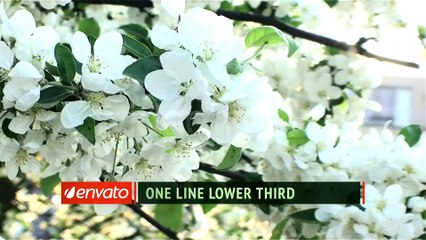 Sliding Brackets Lower Third - After Effects Template