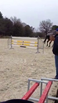 Pipper Jazz et Karim Laghouag - Saumur Fevrier 2014