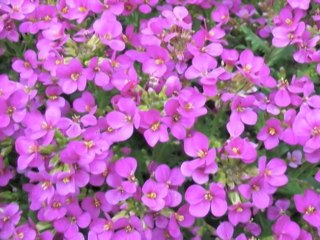 Gondolatok Neked • Thoughts for You 3. részlet