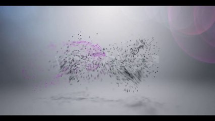 Text Particle Logo Reveal - After Effects Template