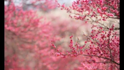 Tolga Sunter - Sevdim Seni Mabuduma