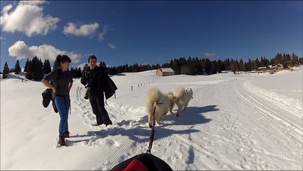 le team  de la ferme des samoyedes essaie son nouveaux traineaux