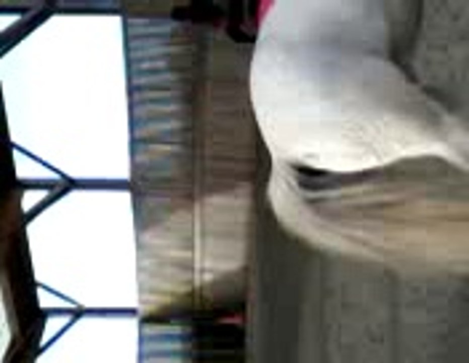 Léna et moi en saut d'obstacle