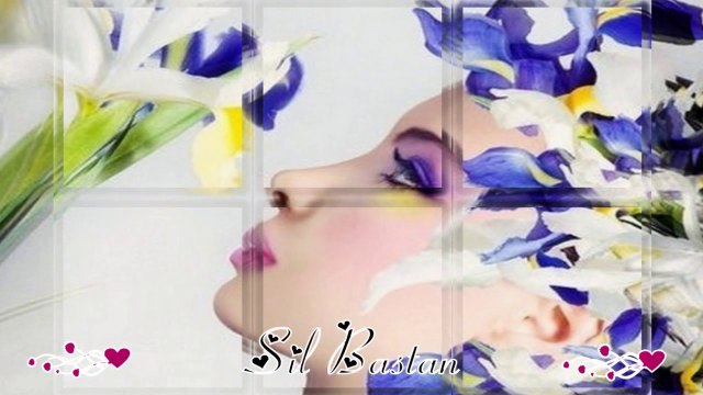 Abdurrahim Karakoç - Gülay - Suları Islatamadım