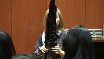 Super Mario Theme Performed On Sheng Chinese Instrument