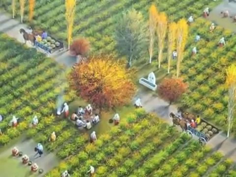 Farid Farjad - Amad Amma