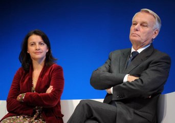 Notre-Dame-des-Landes : les Verts minimisent, l'opposition fustige