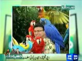 Hasb e Haal -23rd Feb 2014 - Video Dailymotion
