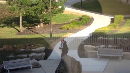 Parktan Geçtiğine Bin Pişman Oldu!