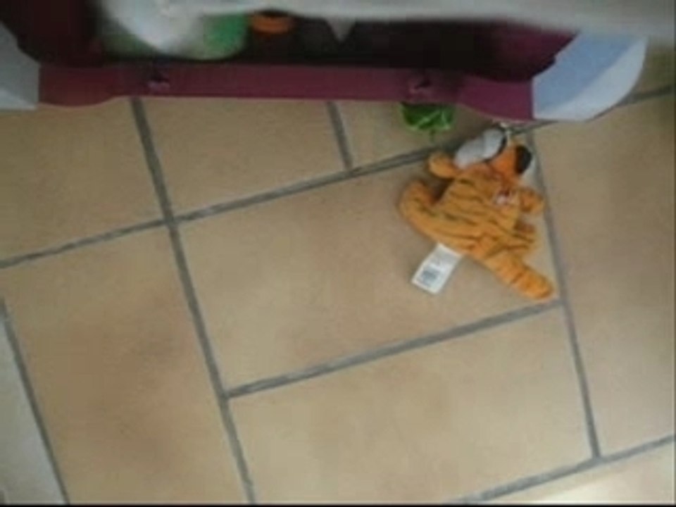 Paypal video