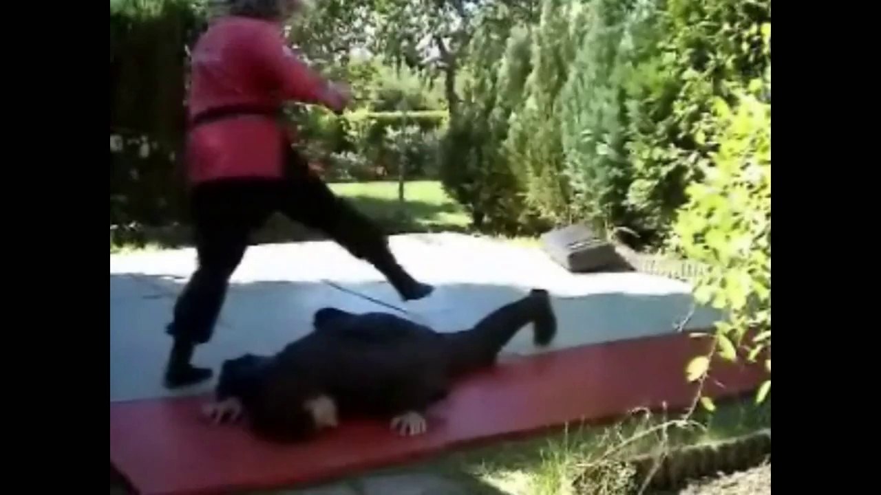 Fuma Ryu Ninjutsu, Soke Michael Bentien