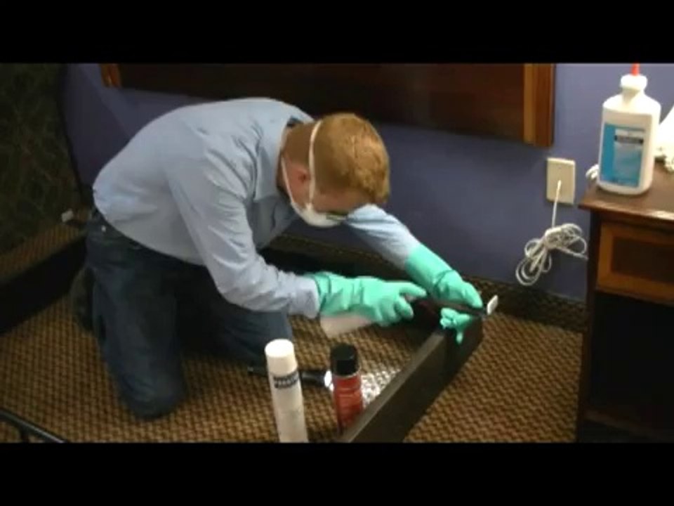 ePest Solutions: Bed Bug Treatment (Bed Frame)