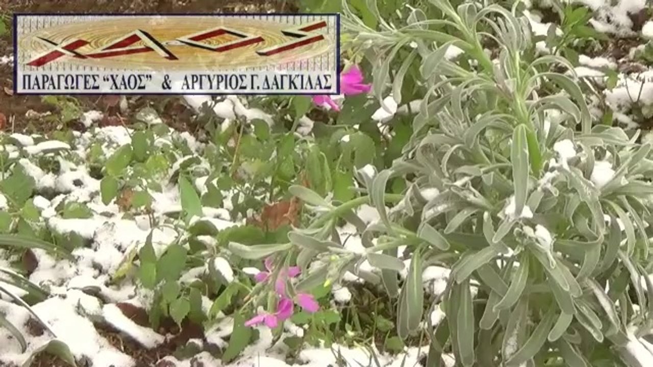 ΧΙΟΝΙΑ  2014