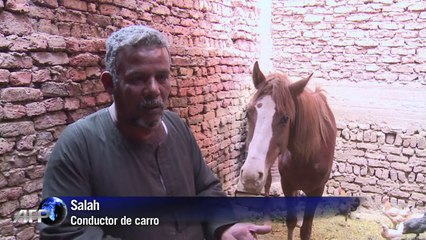 Egipto: sitios turísticos como pueblos fantasma