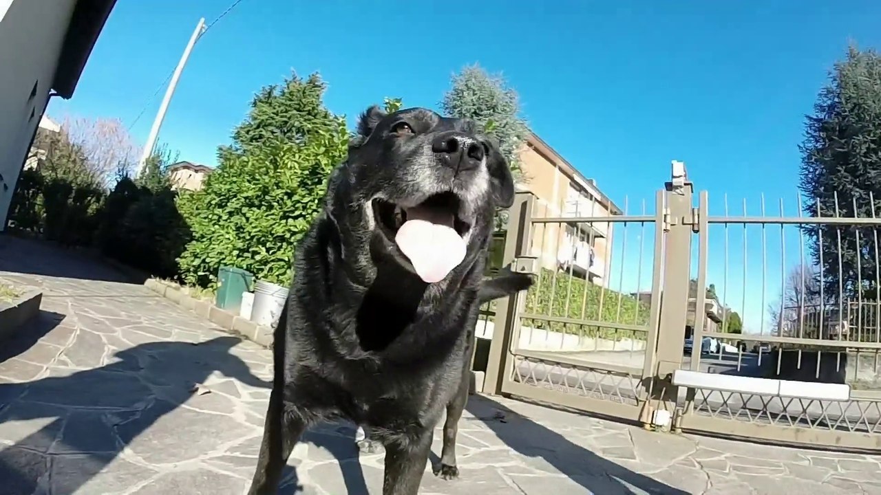 Zeus GoPro 30 fps