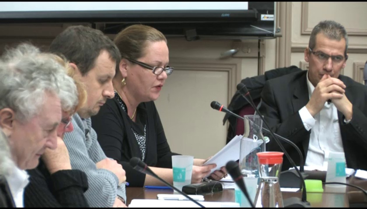 Conseil municipal du 17 février 2014