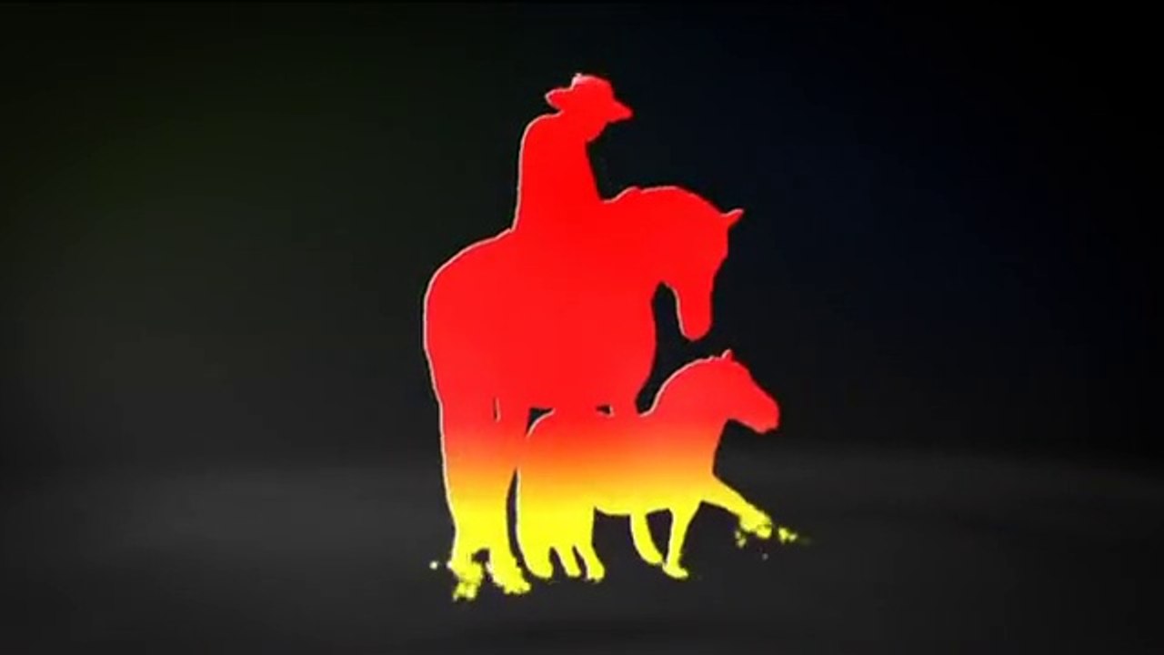 François Lespes Spectacles Equestres & Parades à thèmes