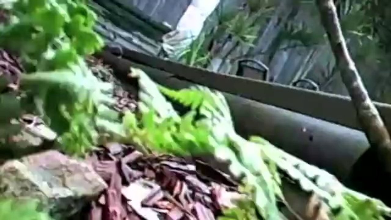 Onboard A Custom Axial AX10