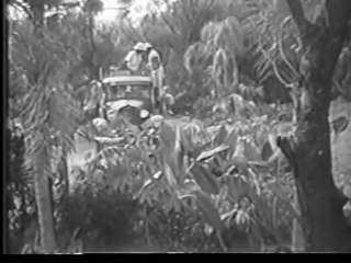 Soldiers In The Jungle