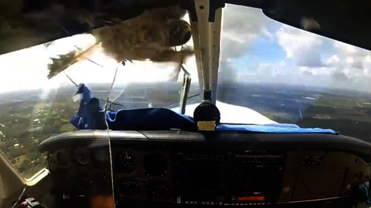 Bird Smashes Through Airplane Windshield, Explodes