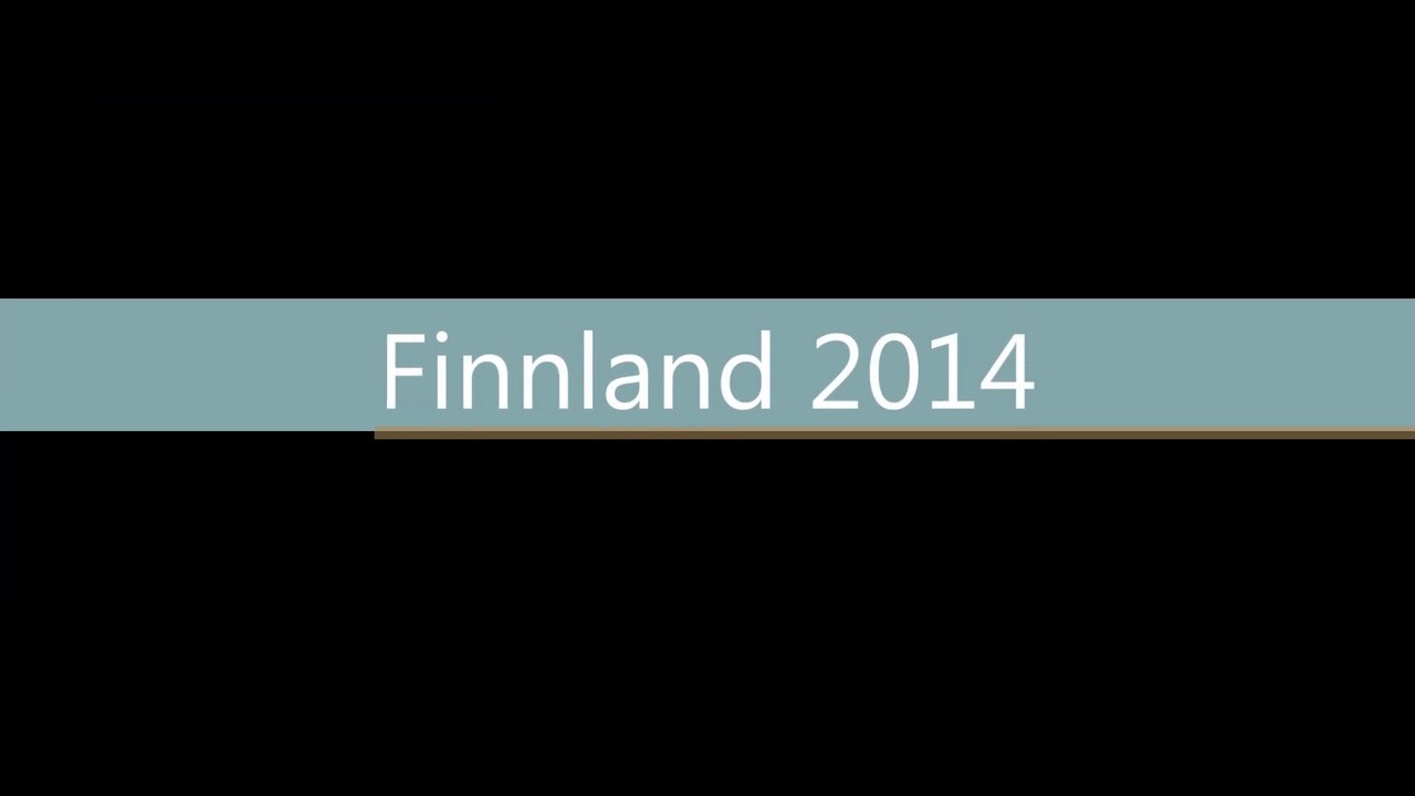 Finnland 2014 Final
