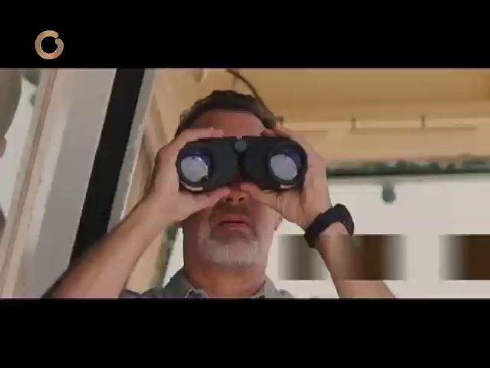 Conoce las películas que pueden ganarse el Oscar en la categoría "mejor película"