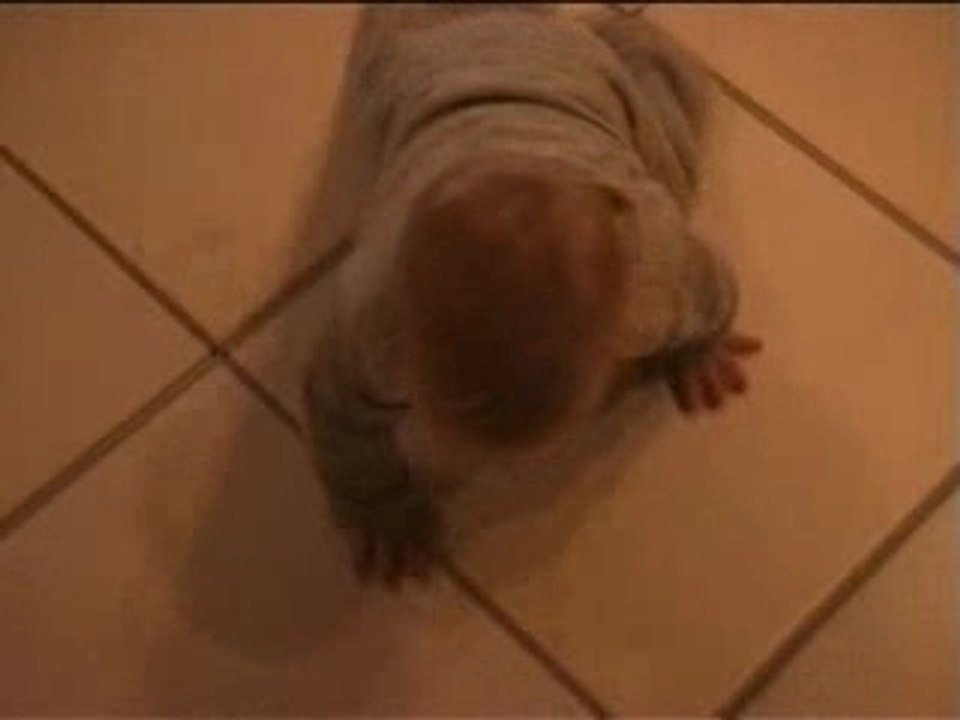 Eva premiers pas - 8 décembre 2006