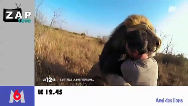 Zap télé: Un oiseau percute le cockpit d'un avion... Hollande n'aime pas les loups