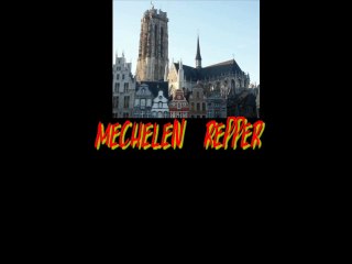 GENSERWIEL 13 MECHEN REPPER  plaat