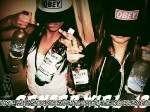 GENSERWIEL 13 VLAA HD E REN FEEST MUZIEK HDP DJ plaat