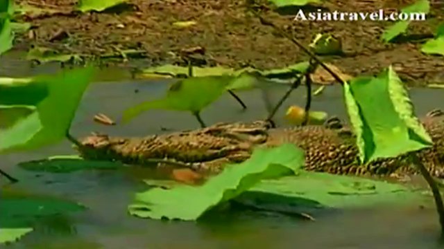 Northern Australia, Alice Springs by Asiatravel.com