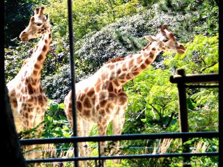 ©L'INFIDELITE POEME THOMAS ANDRE PHOTOS&PHOTOS-PEINTURES MARTINE ANCIAUX©