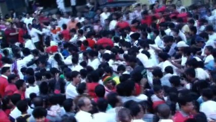 Bull creates ruckus in Mumbai’s Women Marathon
