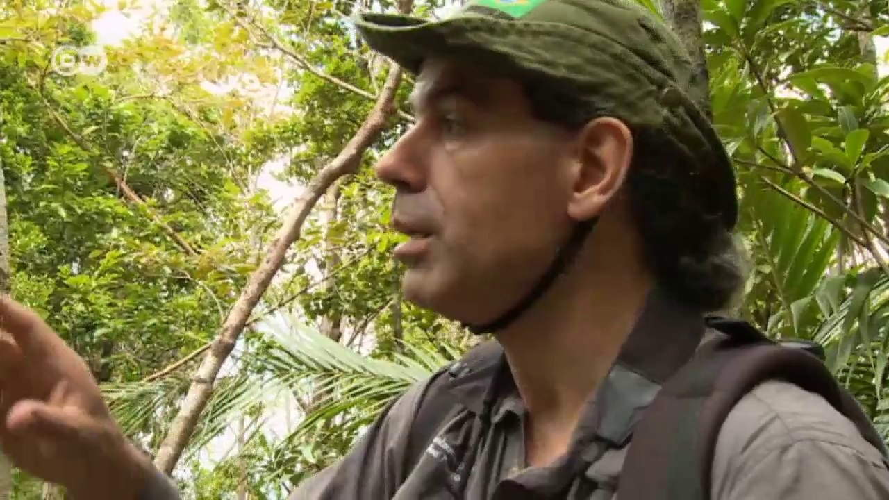 Kahlschlag auf Mauritius - Was vom Paradies übrig ist | Global 3000