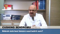 Böbrek üstü bezi tümörü nasıl belirti verir?