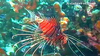 Great Barrier Reef, Australia by Asiatravel.com