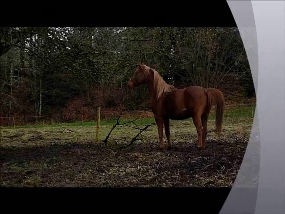 talal beni sakr/shueyman redjem