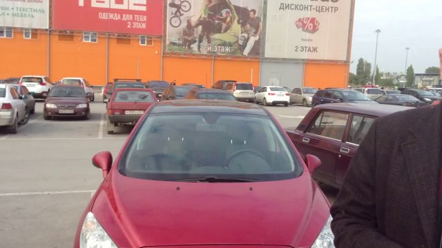 Отзыв о применении Энвиро Табс на Пежо-308, Ростов-на-Дону