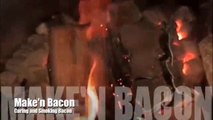 How To Make Maple Cured Hickory Smoked Bacon_clip1