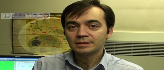 Présentation des travaux de l'équipe Rouillon / Gorwood par Nicolas Ramoz, Chercheur Inserm U894