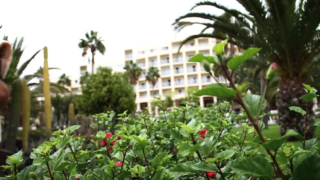 ClubHotel Riu Gran Canaria - Hotel in Gran Canaria, Spain - Riu Hotels & Resorts