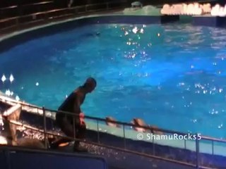 De Droomwens, Dolfinarium Harderwijk