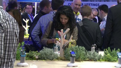 AFP - Le JT, 1ère édition du mardi 25 février